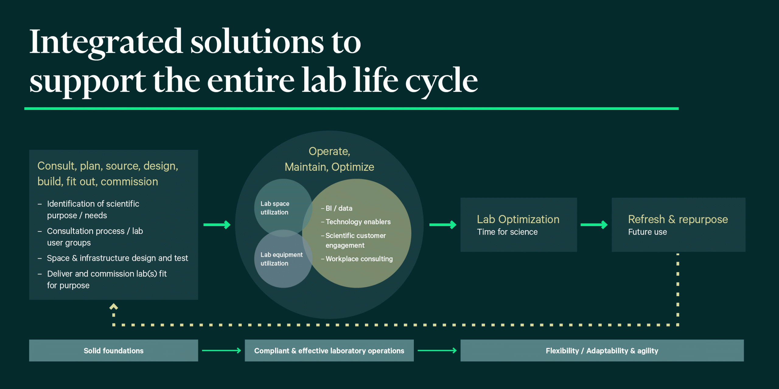 Project Lifecycle Infographic